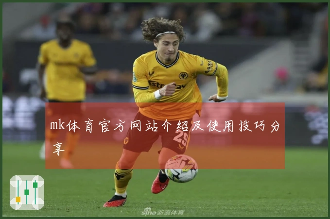 mk体育官方网站介绍及使用技巧分享