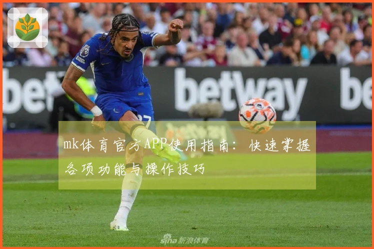 mk体育官方APP使用指南：快速掌握各项功能与操作技巧